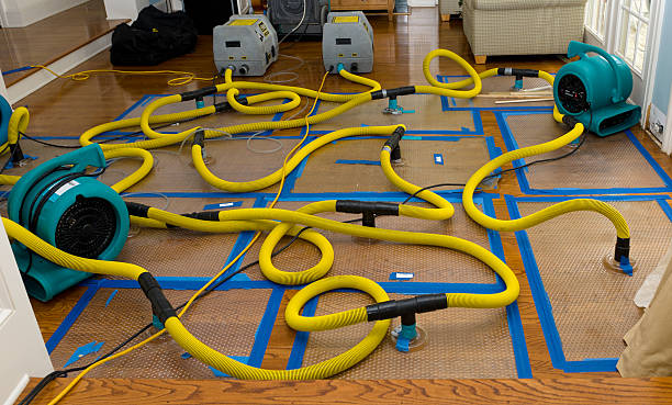 Professional Water Damage Restoration technician working in Hudson, MI